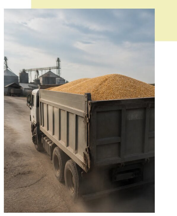 Перевозка сельхозпродукции навалом в Канск по цене от 3279 р. | Агросервис-Кнс